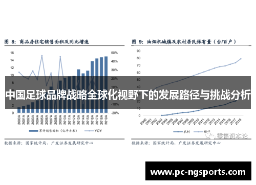 中国足球品牌战略全球化视野下的发展路径与挑战分析