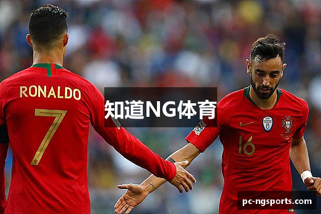 知道NG体育