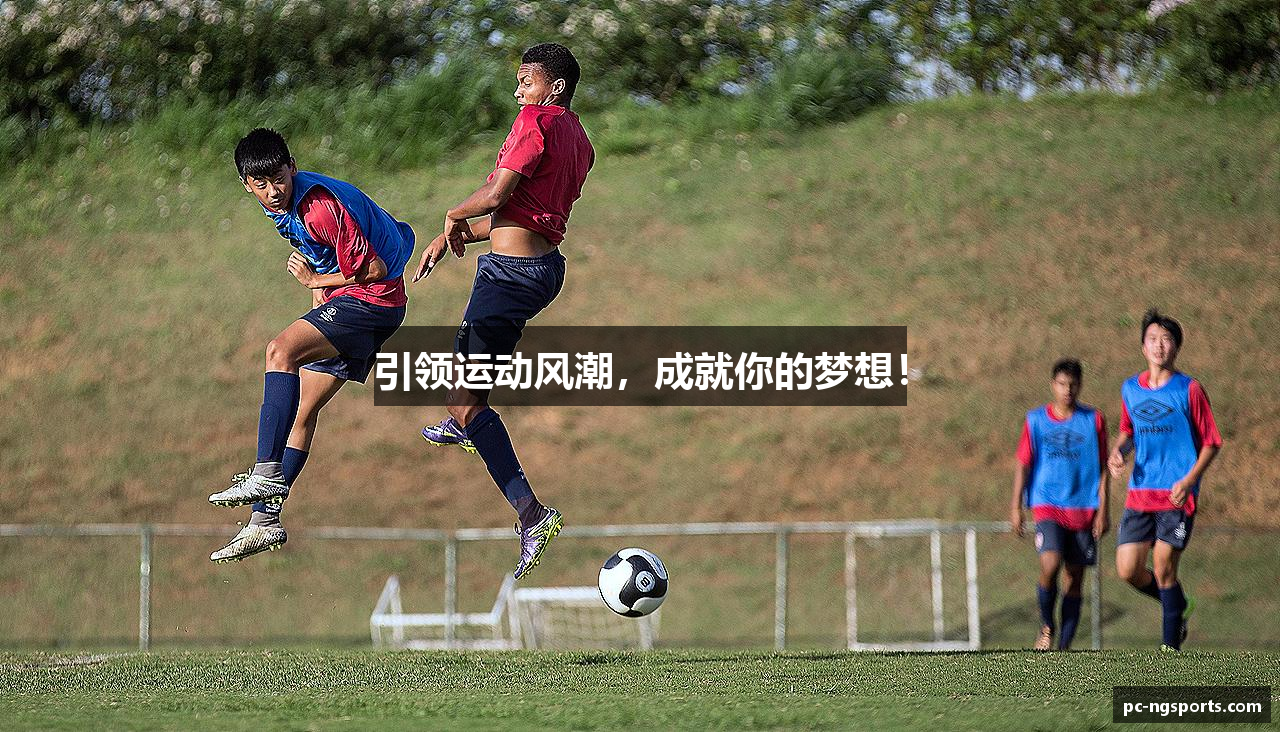 NG体育官网