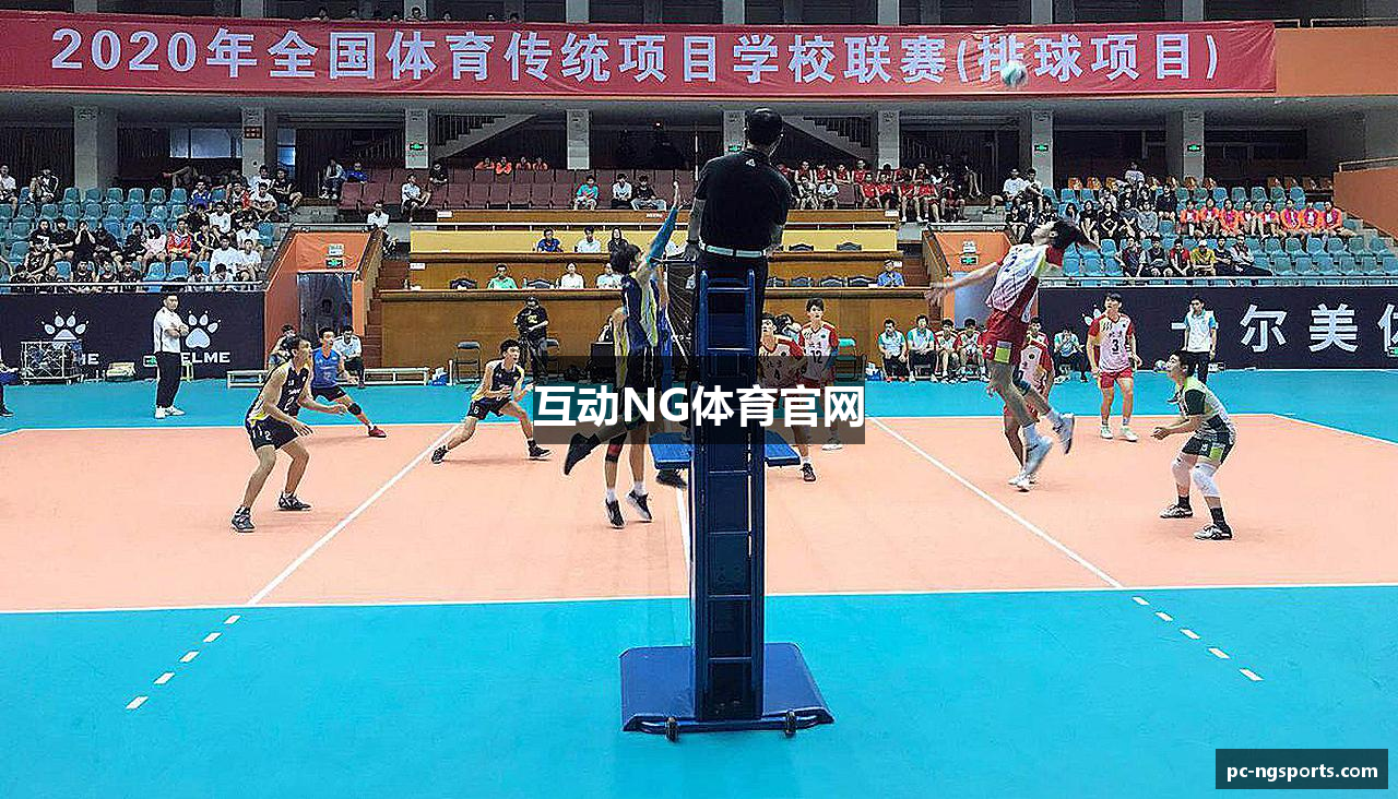互动NG体育官网